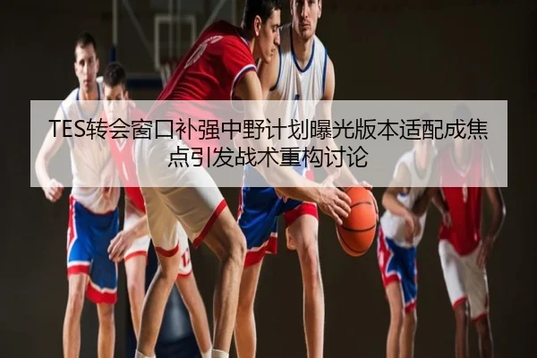 TES转会窗口补强中野计划曝光版本适配成焦点引发战术重构讨论